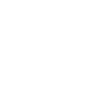 ZFV